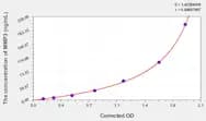 Horse MMP3(Matrix Metalloproteinase 3) ELISA Kit