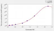 Horse aFP(α-Fetoprotein) ELISA Kit