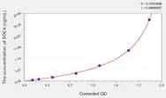 Rat SDC4(Syndecan 4) ELISA Kit