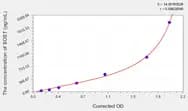 Mouse SOST(Sclerostin) ELISA Kit