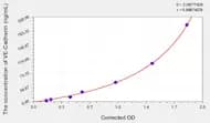 Rat VE-Cadherin(Vascular Endothelial Cadherin) ELISA Kit