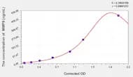 Horse MMP9(Matrix Metalloproteinase 9) ELISA Kit