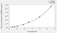 Horse MMP2(Matrix Metalloproteinase 2) ELISA Kit