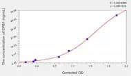 Mouse CPB1(Carboxypeptidase B1, Tissue) ELISA Kit