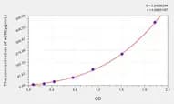 Rat a2M(α-2-Macroglobulin) ELISA Kit