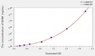 Rabbit BDNF(Brain Derived Neurotrophic Factor) ELISA Kit