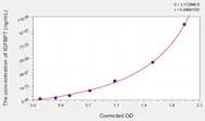 Pig IGFBP7(Insulin Like Growth Factor Binding Protein 7) ELISA Kit