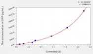 Rat SYP(Synaptophysin) ELISA Kit