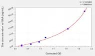 Horse SAA(Serum Amyloid A) ELISA Kit