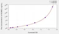 Rat RUNX2(Runt Related Transcription Factor 2) ELISA Kit