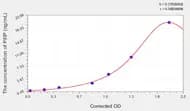 Rat PIIIP(procollagen Ⅲ propeptide) ELISA Kit