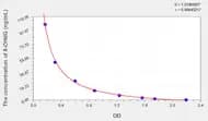 Rat 8-OHdG(8-Hydroxydeoxyguanosine) ELISA Kit