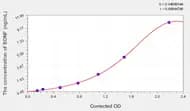 Zebrafish BDNF(Brain Derived Neurotrophic Factor) ELISA Kit
