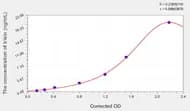 Horse Irisin ELISA Kit