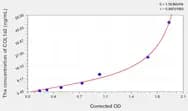 Chicken COL1a2(Collagen Type I α 2) ELISA Kit