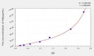 Guinea pig HB(Hemoglobin) ELISA Kit