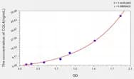 Mouse COL4(Collagen Type IV) ELISA Kit