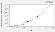 Rat APOE(Apolipoprotein E) ELISA Kit