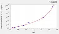 Mouse a1AT(α-1-Antitrypsin) ELISA Kit