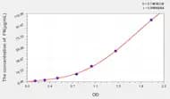 Pig FN(Fibronectin) ELISA Kit