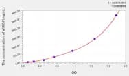 Rat a1AGP(α-1-Acid Glycoprotein) ELISA Kit