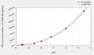 Mouse sC5b-9(Soluble Terminal Complement Complex C5b-9) ELISA Kit