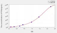 Rat PCIII(Procollagen III) ELISA Kit