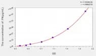 Horse FN(Fibronectin) ELISA Kit