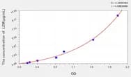 Horse LZM(Lysozyme) ELISA Kit