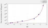 Horse HP(Haptoglobin) ELISA Kit