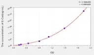 Mouse E-Cad(E-Cadherin) ELISA Kit