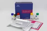 Human SIGLEC14(Sialic acid binding Ig like lectin 14) ELISA Kit