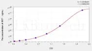 Rat IRF7(Interferon Regulatory Factor 7) ELISA Kit