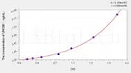Human UNC5B(Netrin Receptor UNC5B) ELISA Kit