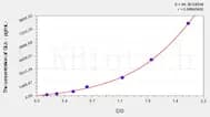 Rat GLb(Galactosidase β) ELISA Kit