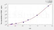 Rabbit FASN(Fatty Acid Synthase) ELISA Kit