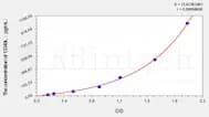 Horse CD40L(Cluster Of Differentiation 40 Ligand) ELISA Kit