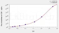Horse CD8(Cluster ofDifferentiation 8) ELISA Kit
