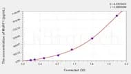Rat MuRF1(muscle-specific RING-finger protein 1) ELISA Kit