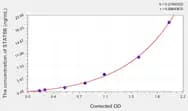 Rat STAT5B(Signal Transducer And Activator Of Transcription 5B) ELISA Kit