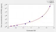 Rat SYN3(Synapsin III) ELISA Kit
