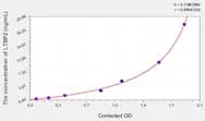 Rat LTBP2(Latent Transforming Growth Factor β Binding Protein 2) ELISA Kit