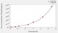 Rat Rock2(Rho Associated Coiled Coil Containing Protein Kinase 2) ELISA Kit
