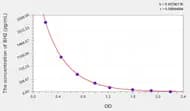 BH2(Dihydrobiopterin) ELISA Kit