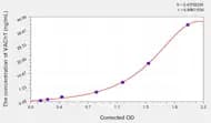 Rat VAChT(Vesicular Acetylcholine Transporter) ELISA Kit