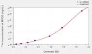 Rat MYOG(Myogenin) ELISA Kit