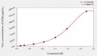 Cattle DCN(Decorin) ELISA Kit