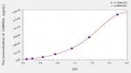 Mouse CAMK2b(Calcium/Calmodulin Dependent Protein Kinase II β) ELISA Kit