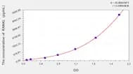 Horse RANKL(Receptor Activator of Nuclear factor-kB Ligand) ELISA Kit