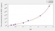 Cattle SOD1(Superoxide Dismutase 1, Soluble) ELISA Kit